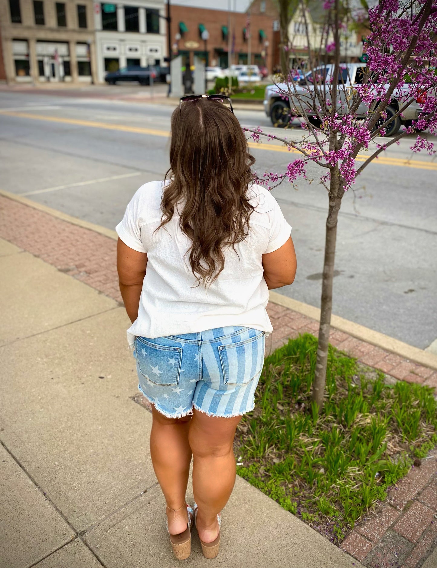 Judy Blue MR Star & Stripe Bleach Shorts