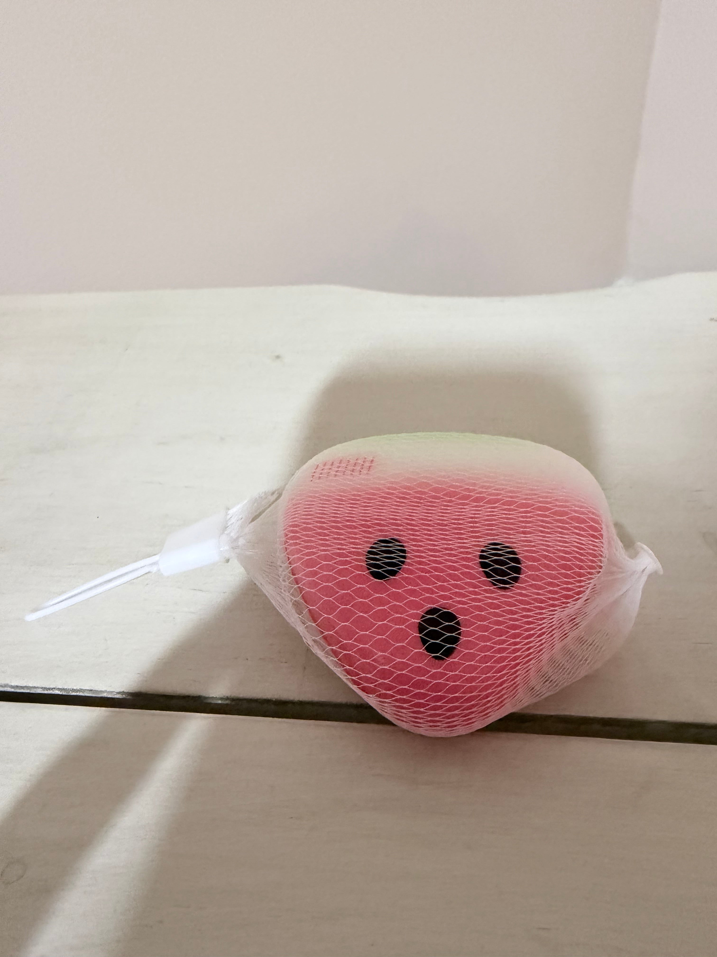 Watermelon Squishy Toy