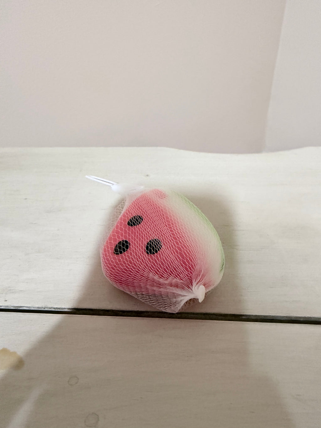 Watermelon Squishy Toy