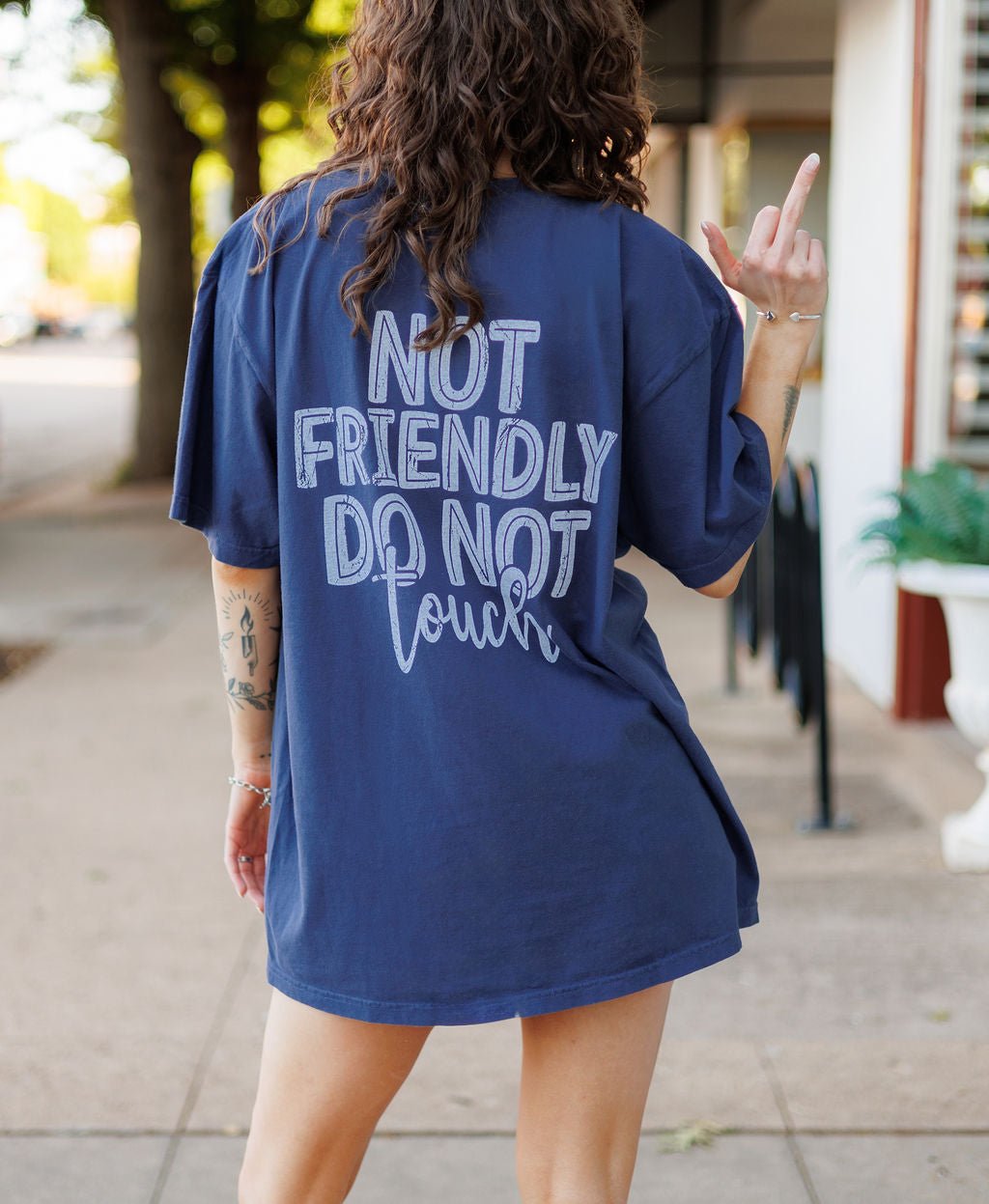 Not Friendly. Do Not Touch - TheRusticAttic