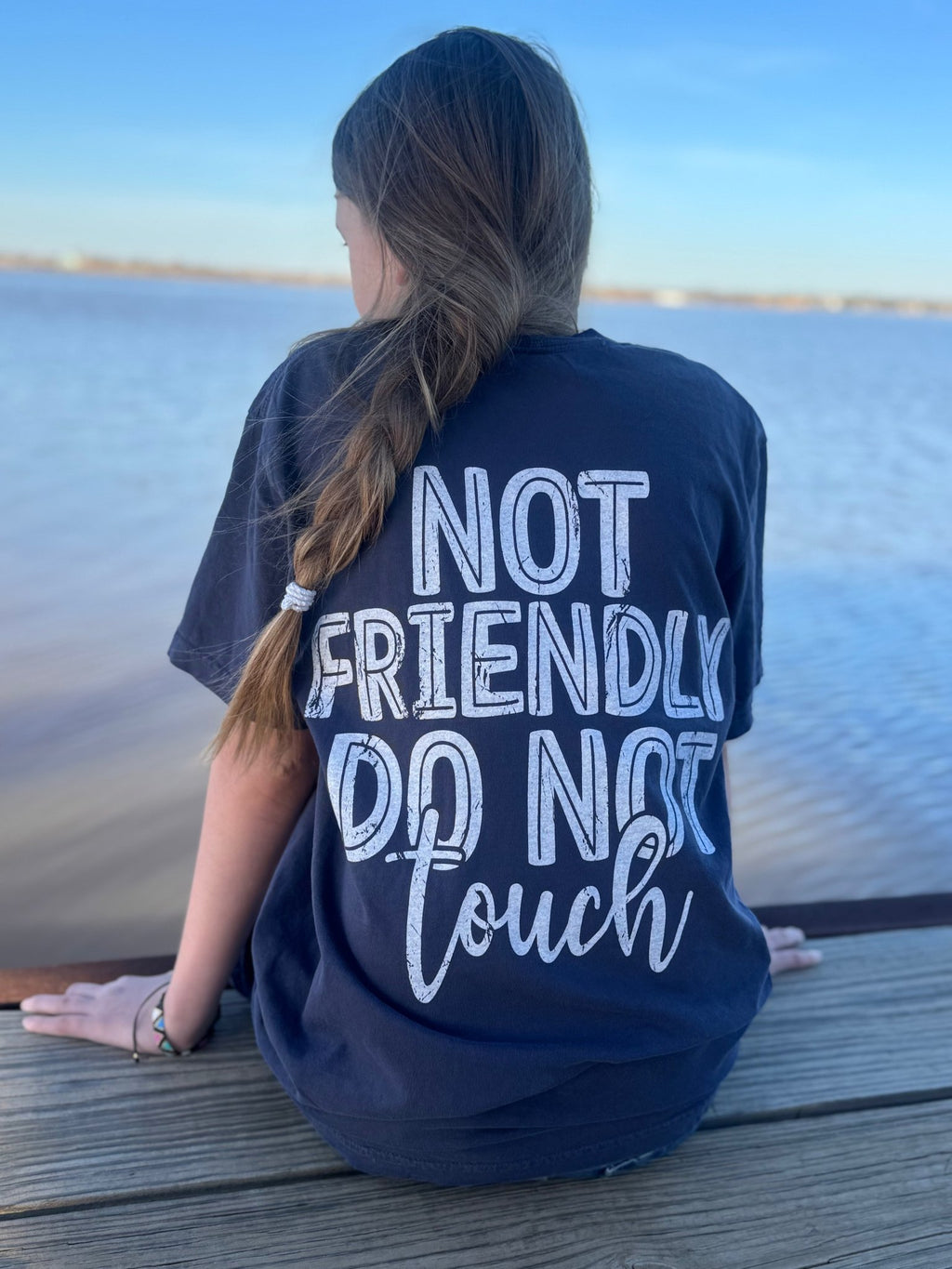 Not Friendly. Do Not Touch - TheRusticAttic